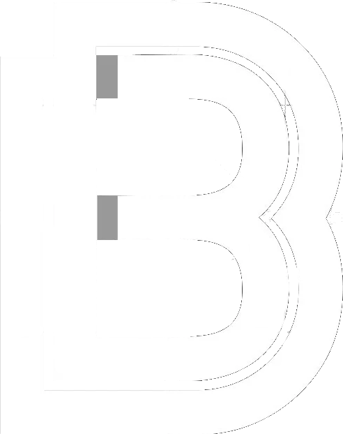 Brian Boros Logo